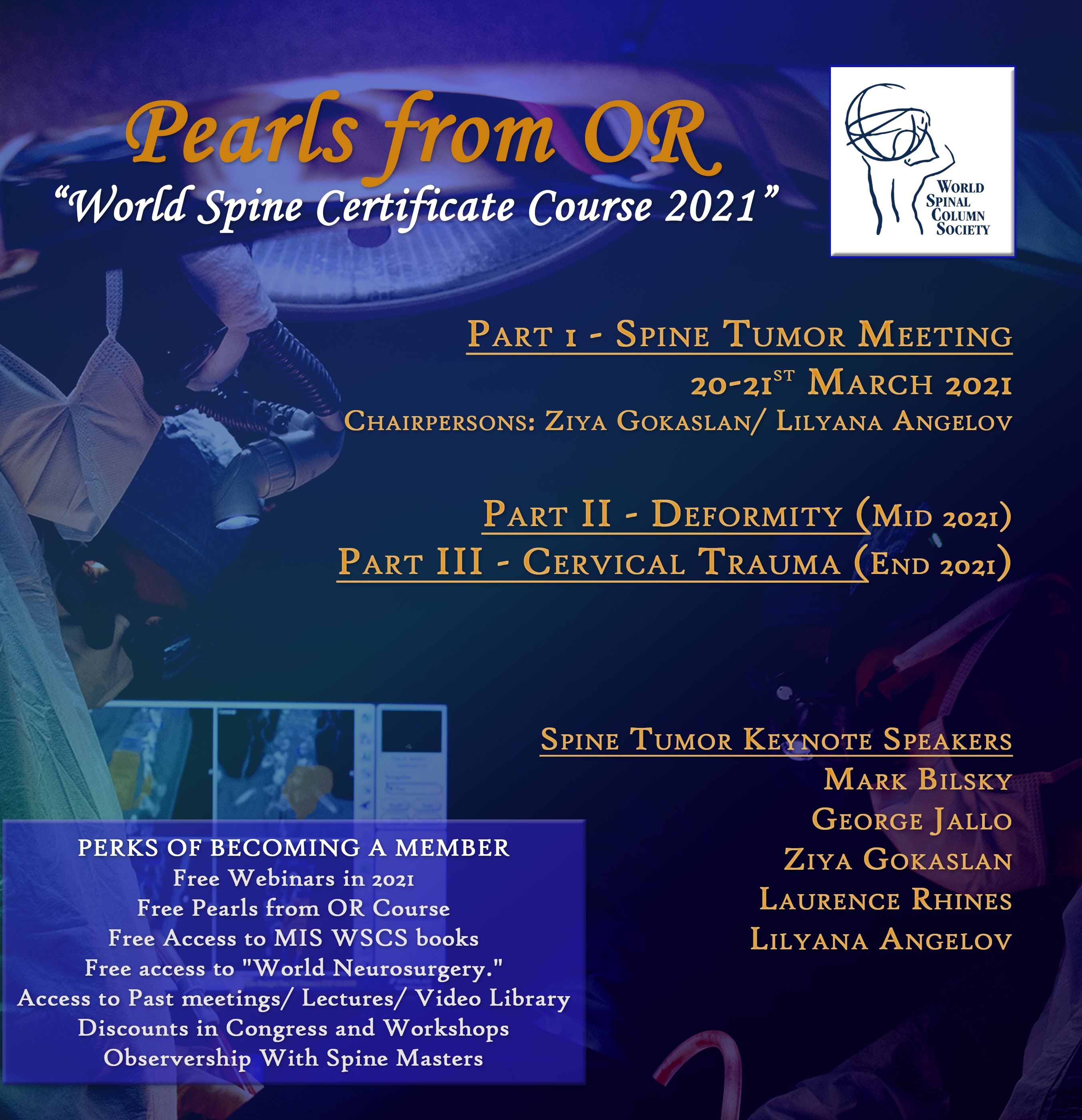 WSCS Pearls from OR Certificate Course